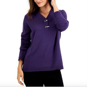 Karen Scott Plum V-neck Sweater: Size Petite L